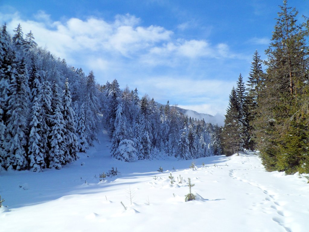 SELLA DI VUOM da&nbsp;CAMPOROSSO