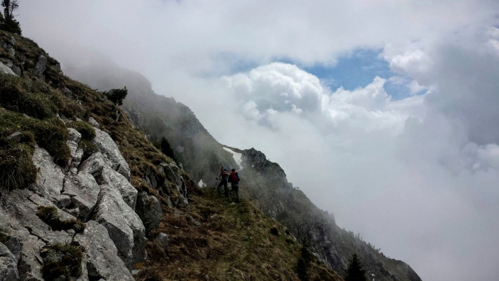 MONTE ZERMULA dalla STRADA PAULARO-CASON DI&nbsp;LANZA