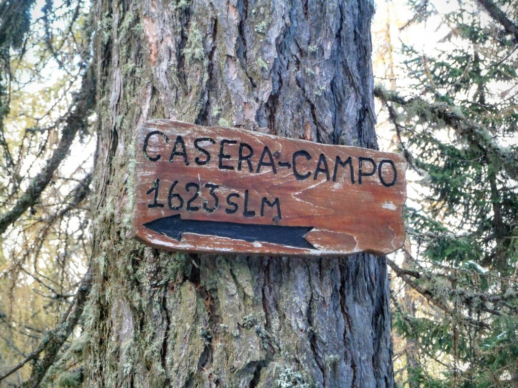 CASERA CAMPO da&nbsp;LATEIS