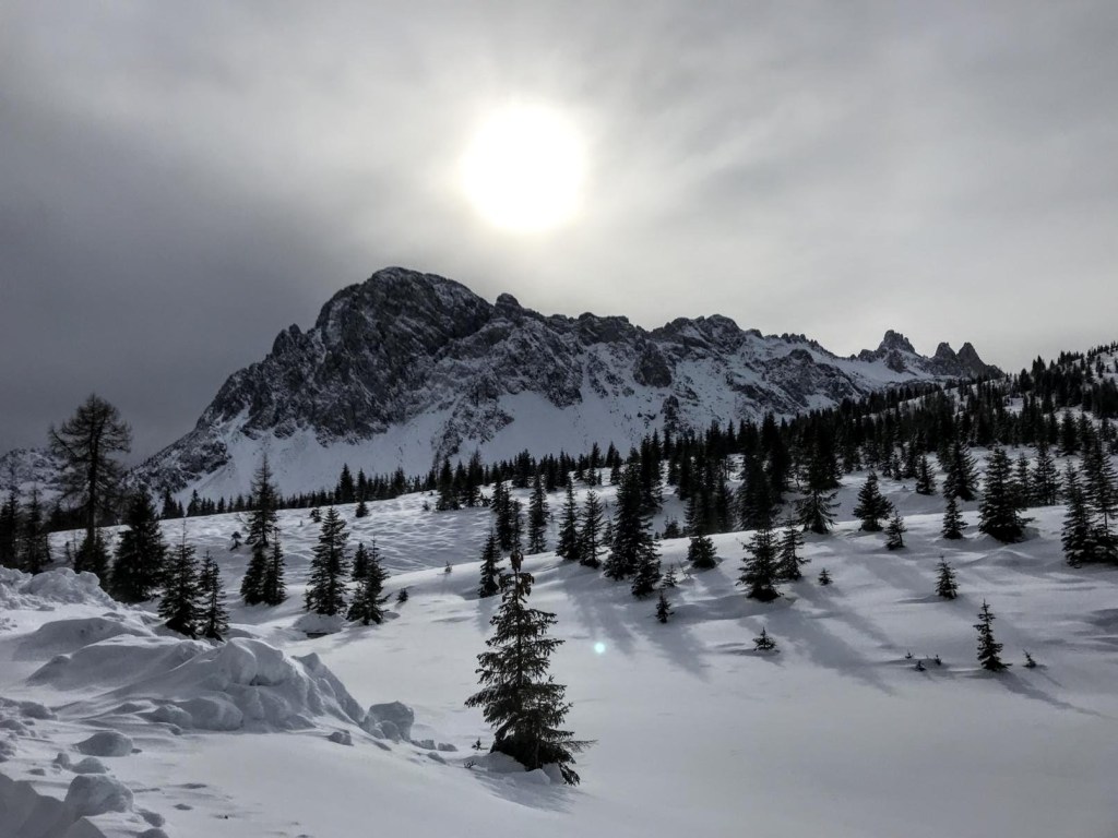 SORGENTI DEL PIAVE da CIMA&nbsp;SAPPADA