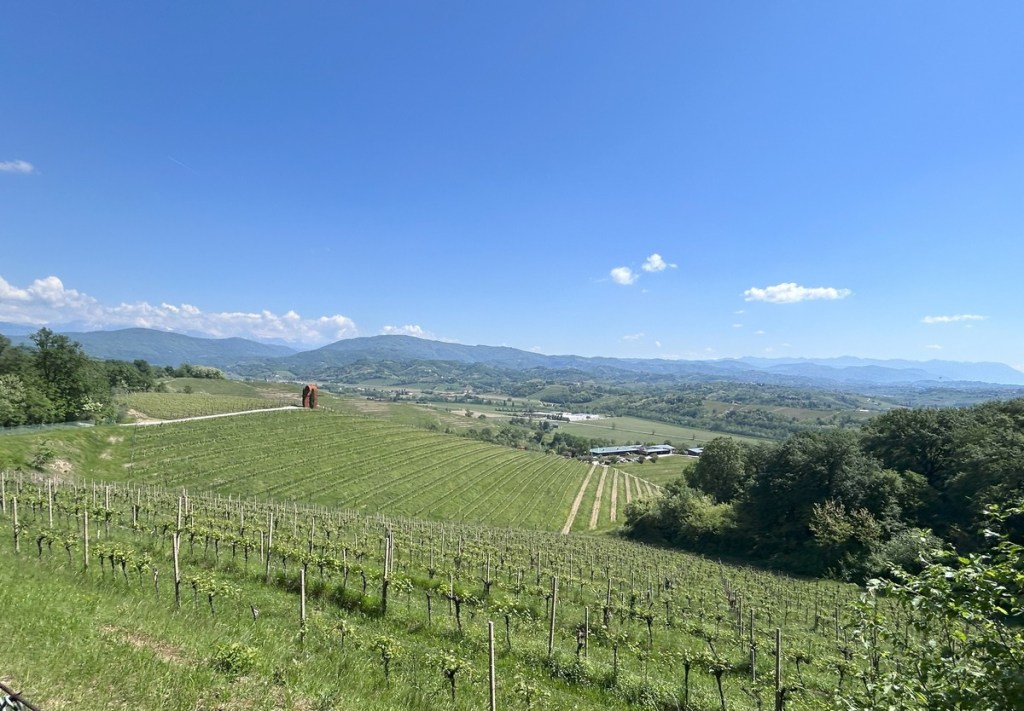 Anello del MONT DI SAN BLÂS dal BOSCO&nbsp;ROMAGNO