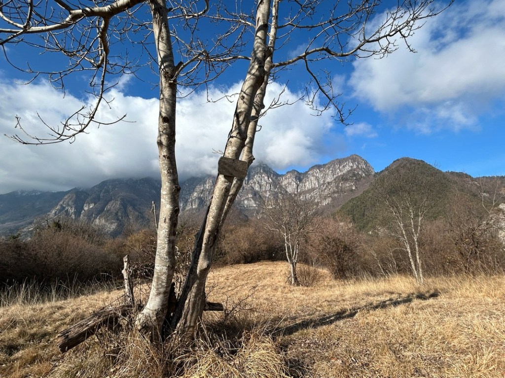 Anello del COL VENTOUS e COL MAJOR da&nbsp;NAVARONS