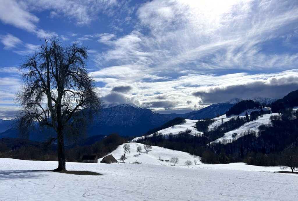 Anello degli STAVOLI di PANI da MUINA