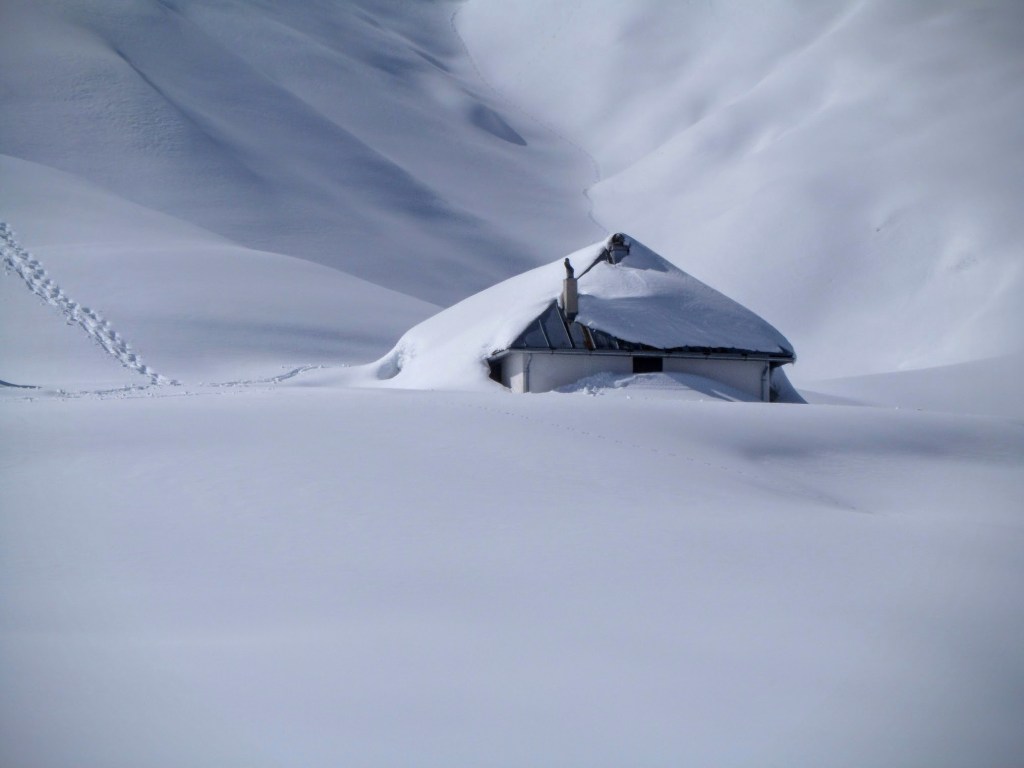 MALGA DAUDA da FIELIS