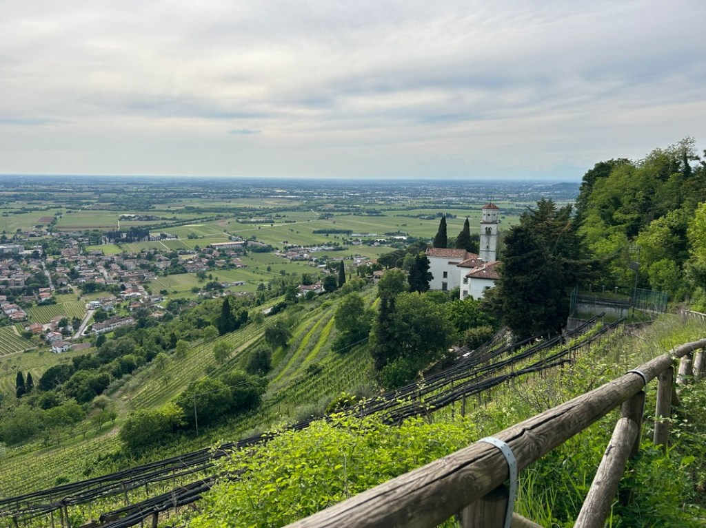 Anello del BOSCO di PLESSIVA e MONTE QUARIN